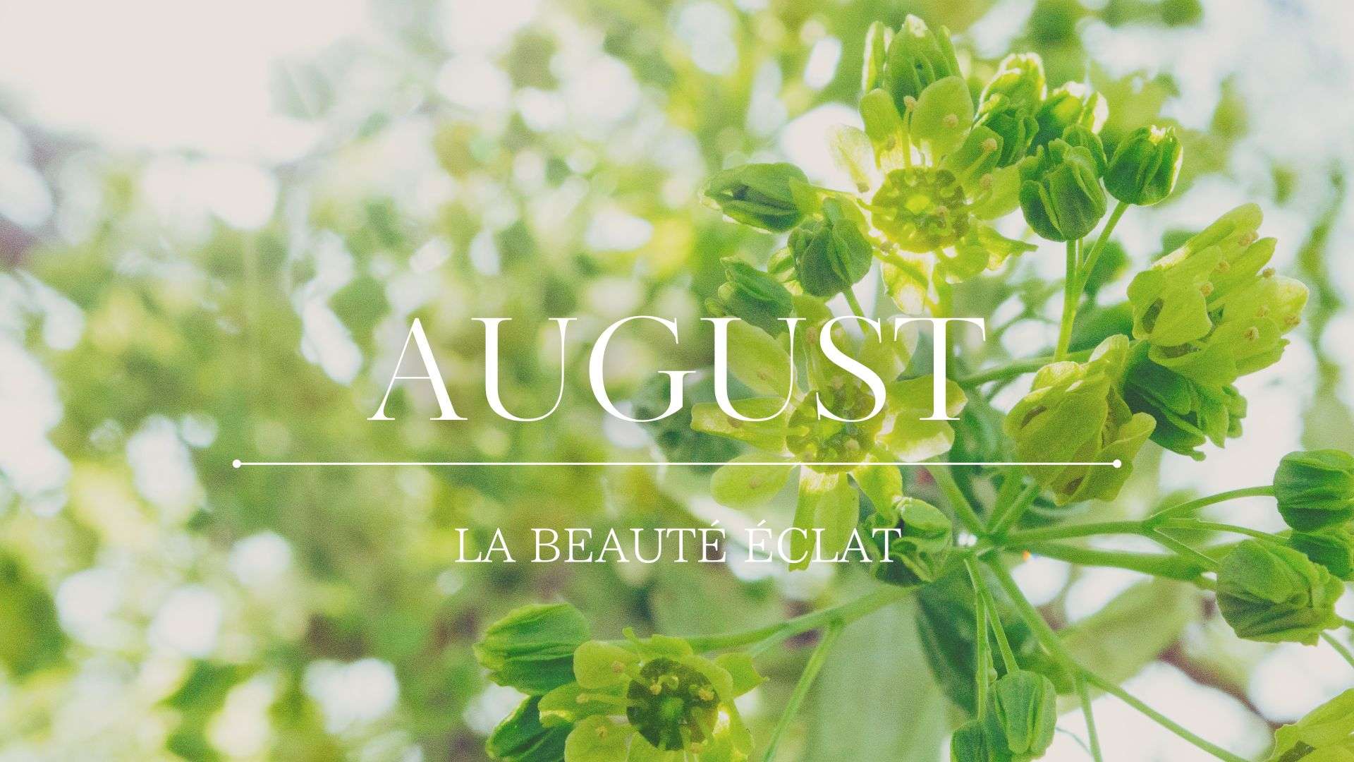 —8月も心に寄り添って—