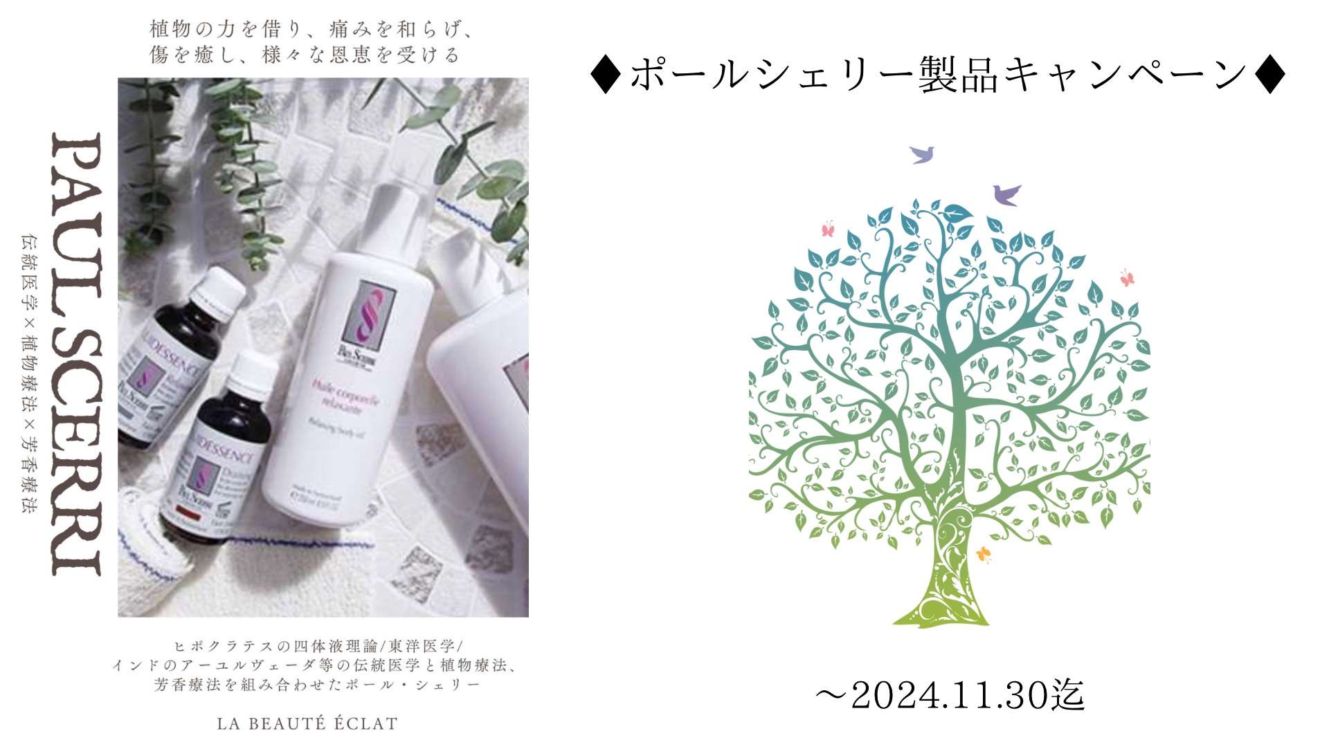 小さな不調を放置していない？キャンペーン終了まで残り2日 ポールシェリー大阪 ラボーテエクラ ポールシェリーキャンペーン