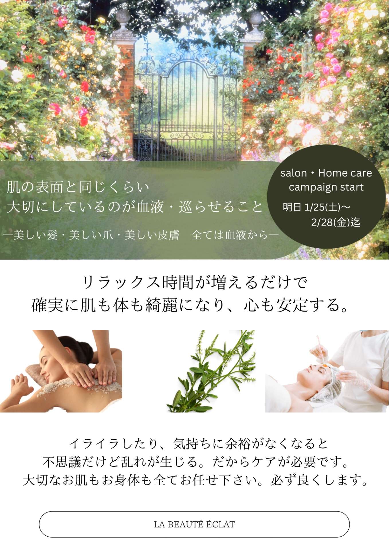 明日1/25(土)から始まるキャンペーンのお知らせ