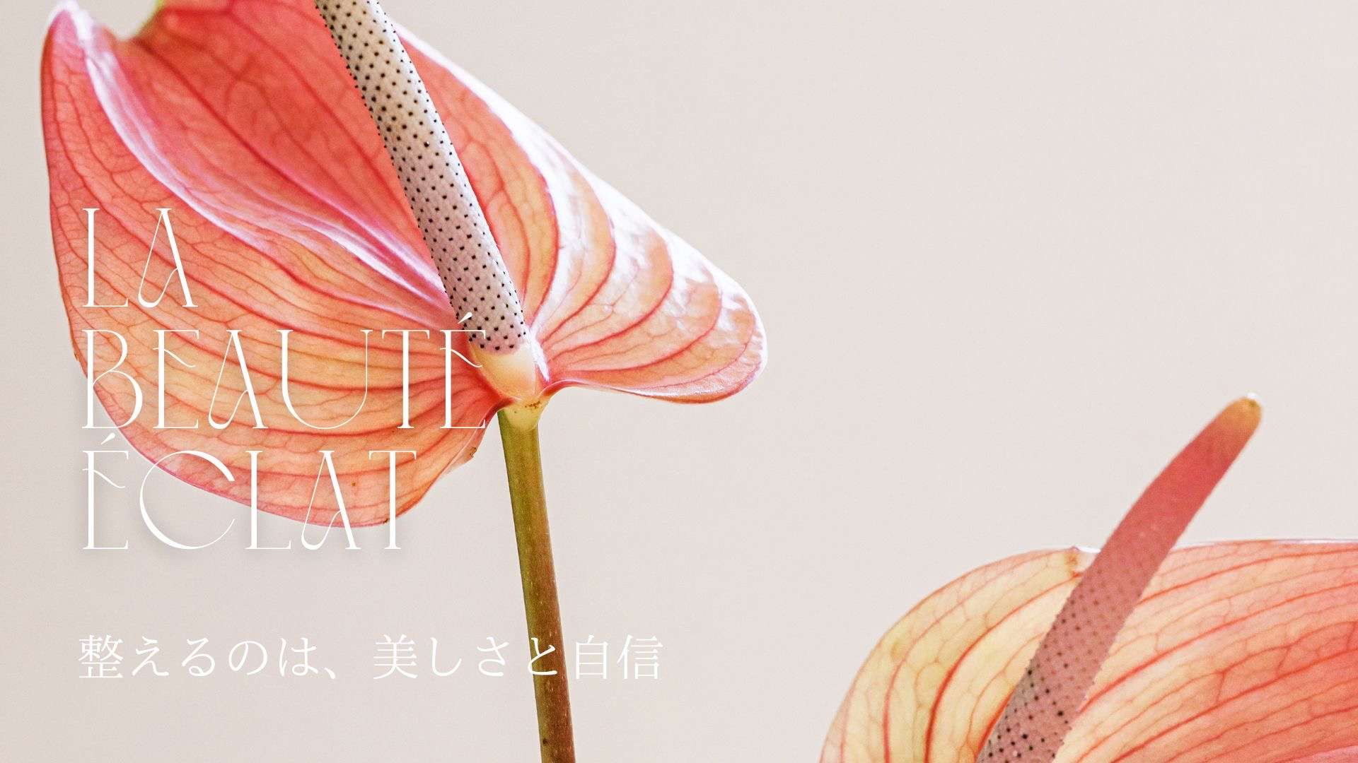 7月のサロン定休日のお知らせ＆ラボーテエクラ7年目の始まり