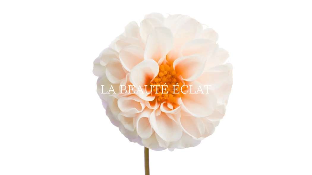 心から感謝の気持ちを込めて---7周年記念限定