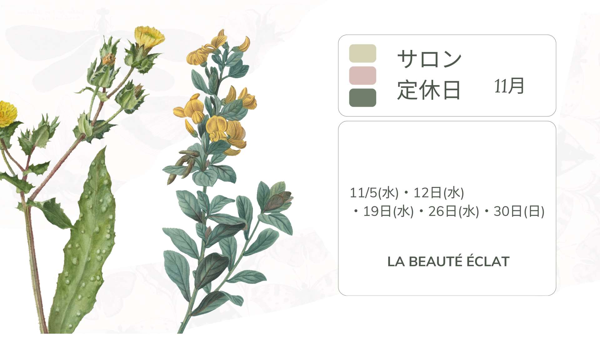 11月・12月のサロン定休日のお知らせ